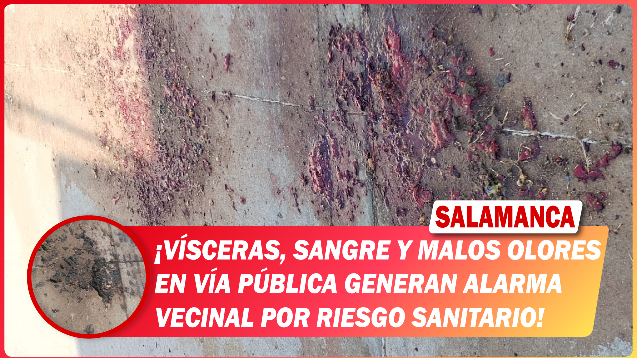 #Salamanca Vísceras, sangre y malos olores en vía pública generan alarma vecinal por riesgo sanitario