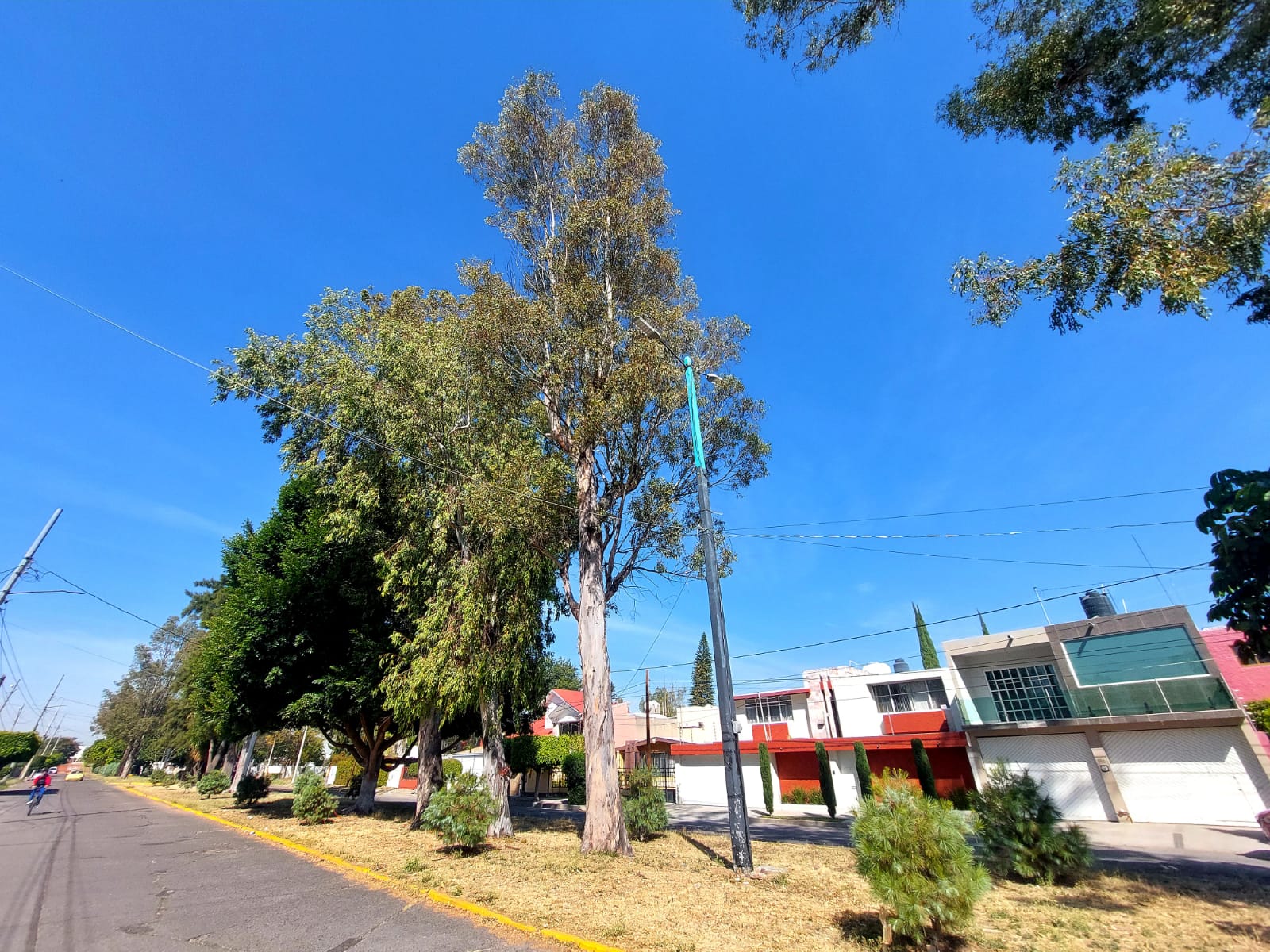 #Salamanca No paran los robos de vehículos en colonia Bellavista generando alarma entre vecinos y visitantes