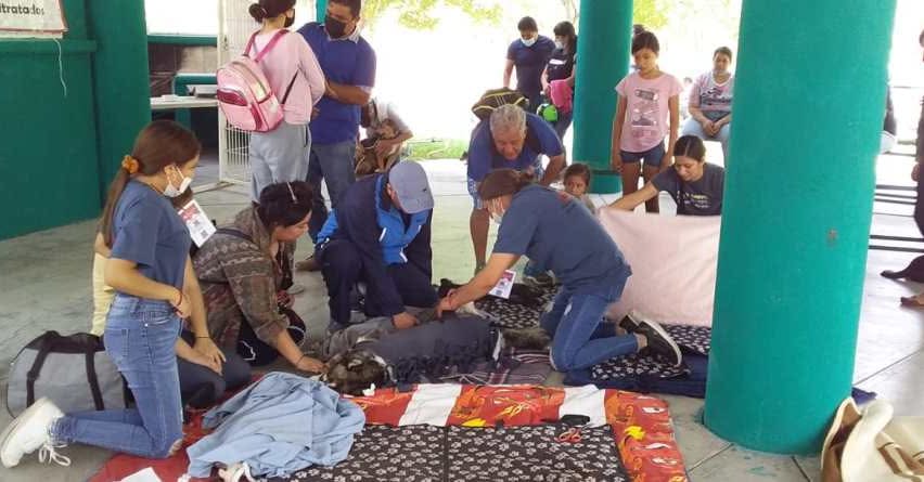 #Salamanca Animalistas convocan a jornada masiva de esterilización felina en colonia El Cerrito