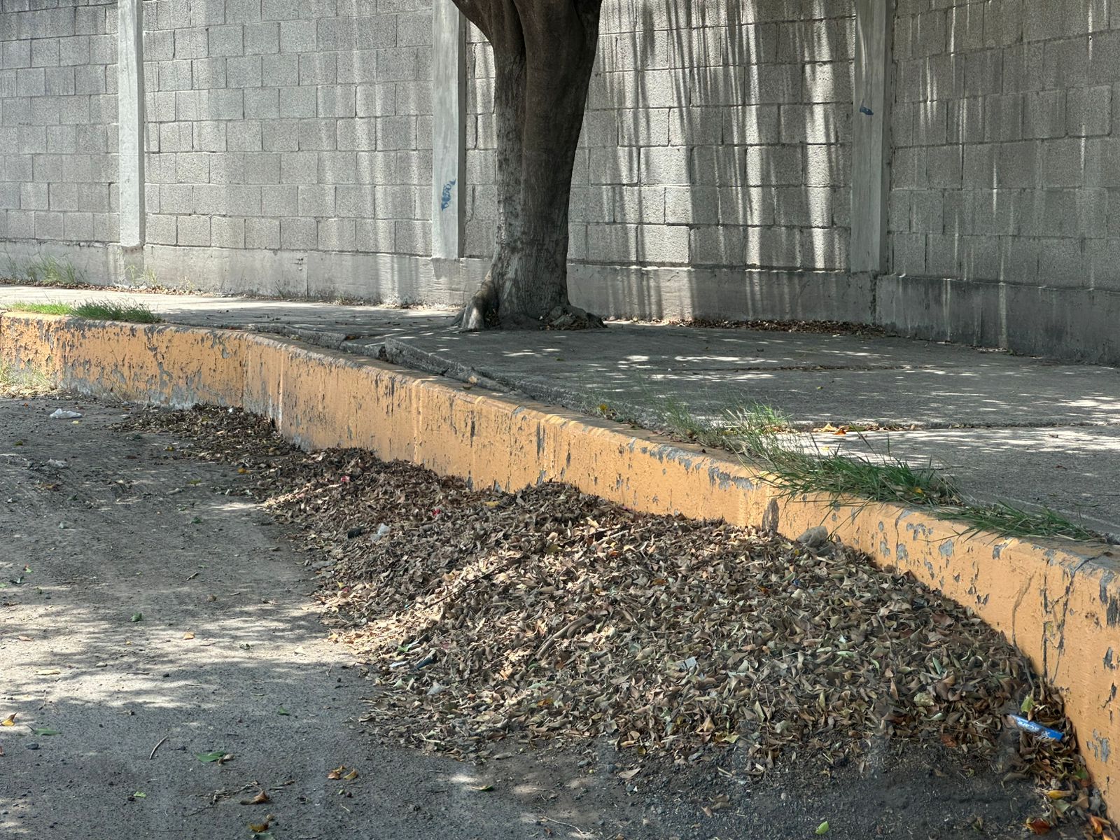 Lluvias leves exhiben abandono en calles de #Salamanca; basura y tierra siguen acumulándose sin atención