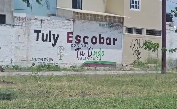 Denuncian penalmente a la responsable de “Tu Lindo Salamanca” por los presuntos delitos de enriquecimiento ilícito y tráfico de influencias; señalan campaña con más de 100 bardas y publicidad irregular