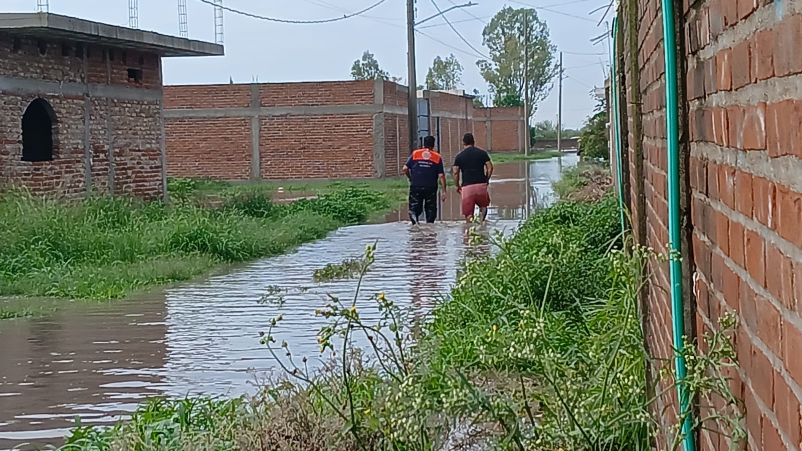 Lluvias inundan viviendas en San José de la Montaña, #Salamanca; agua alcanzó hasta un metro de altura