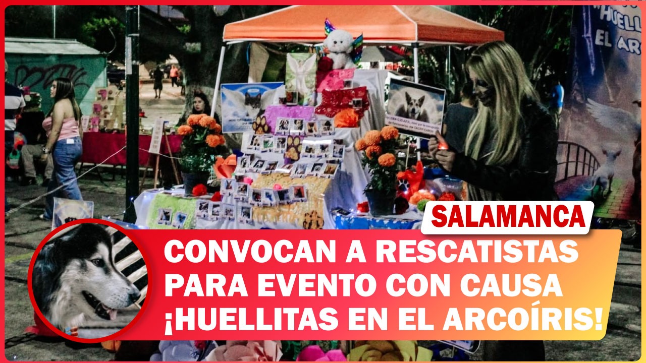 #Salamanca Convocan a rescatistas para evento “Huellitas en el Arcoíris”.