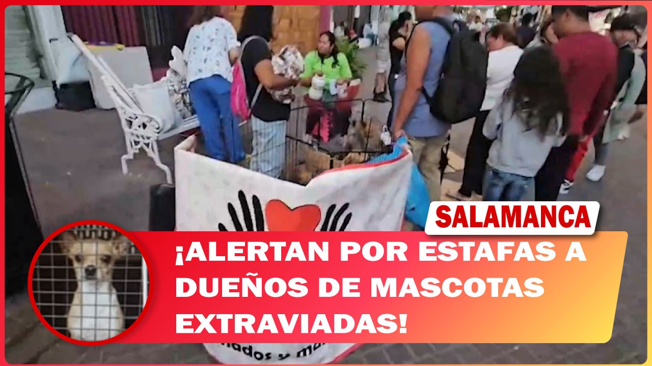 #Salamanca Alertan por estafas a dueños de mascotas extraviadas