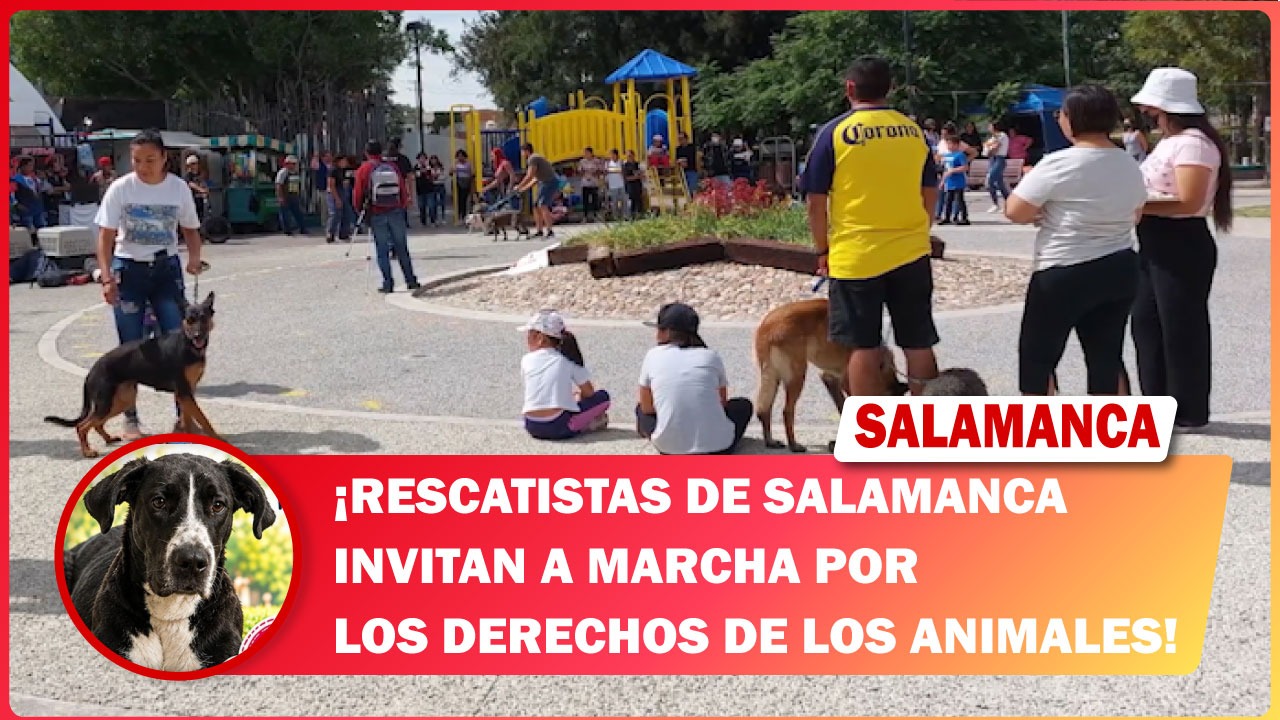 Rescatistas de #Salamanca invitan a marcha por los derechos de los animales