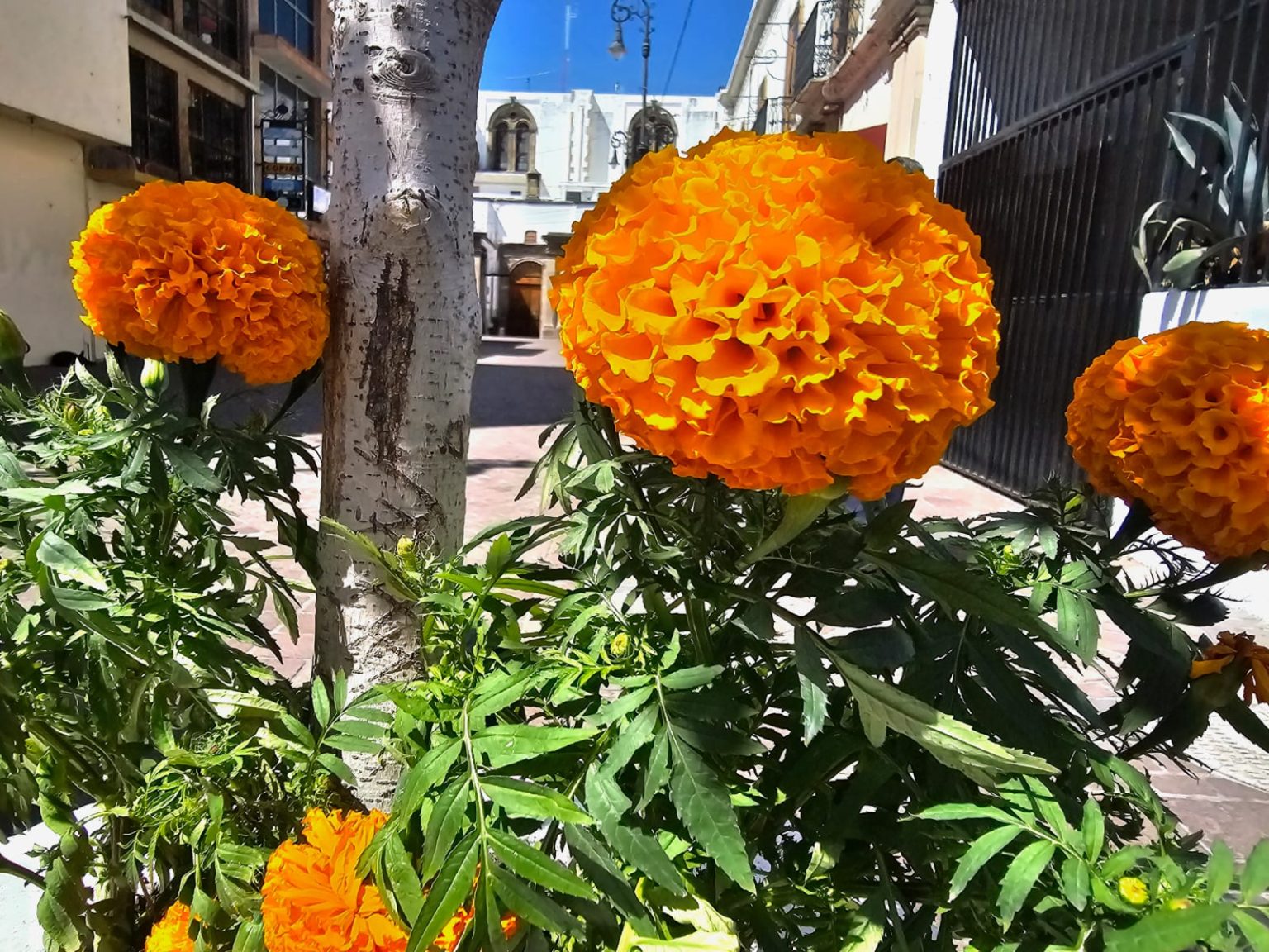 #Salamanca recibe al otoño, el equinoccio llega este martes 22 de septiembre