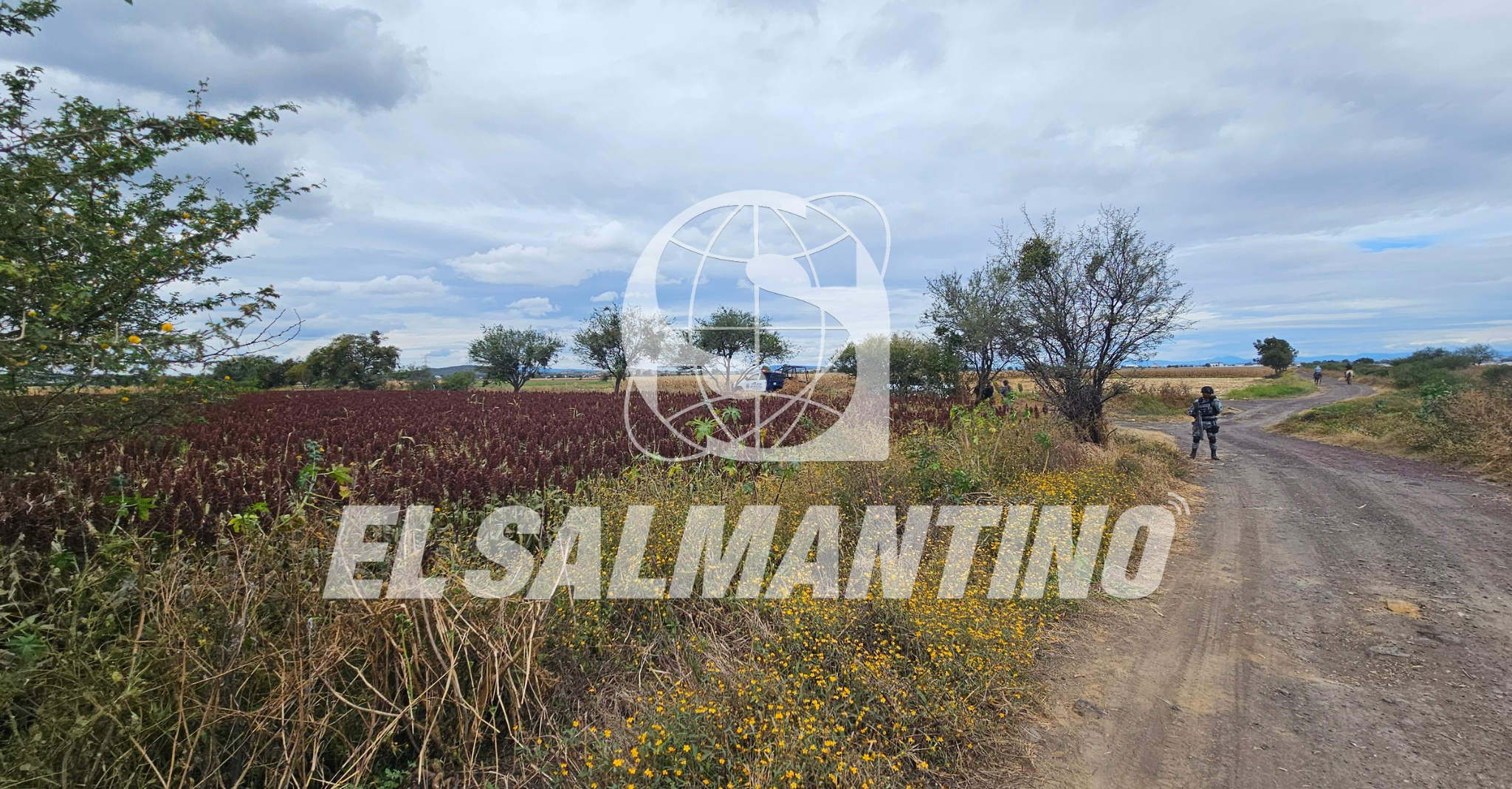 #Salamanca Localizan cuerpo de un hombre con aparentes huellas de violencia en camino a la comunidad Loma de San Antonio
