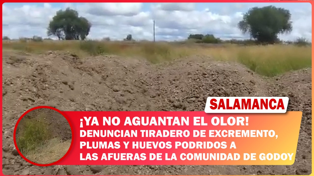 #Salamanca ¡Ya no aguantan el olor! Denuncian tiradero de excremento, plumas y  huevos podridos a las afueras de la comunidad de Godoy