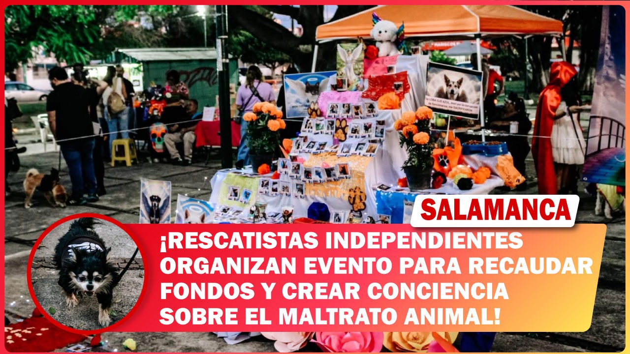 #Salamanca Rescatistas independientes organizan evento para recaudar fondos y crear conciencia sobre el maltrato animal
