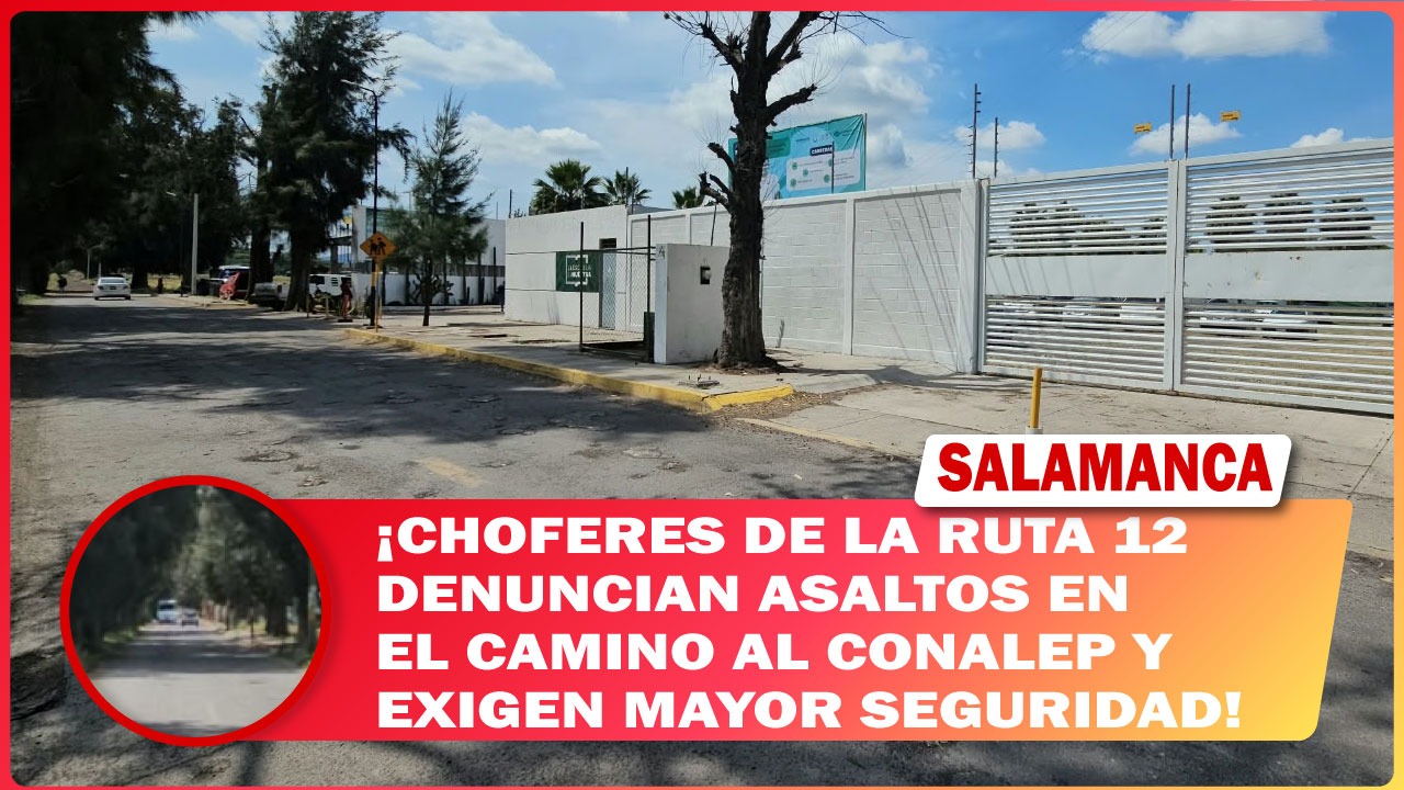 #Salamanca Choferes de la ruta 12 denuncian asaltos en el camino al CONALEP y exigen mayor seguridad